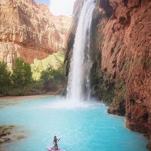 Meet your Posher, William